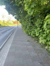 Bild zu gemeldetem Anliegen vom *2025-04-28 12:35:26
