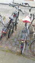 Bild zu gemeldetem Anliegen vom *2025-04-09 09:50:06