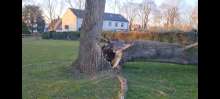 Bild zu gemeldetem Anliegen vom *2025-04-11 21:29:18