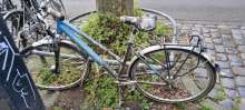 Bild zu gemeldetem Anliegen vom *2025-04-01 16:07:56