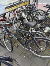 Bild zu gemeldetem Anliegen vom *2025-04-19 15:31:51