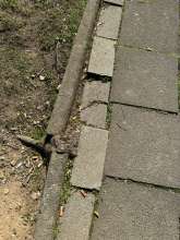 Bild zu gemeldetem Anliegen vom *2025-04-17 12:31:26