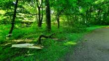 Bild zu gemeldetem Anliegen vom *2025-05-01 15:34:18