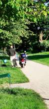 Bild zu gemeldetem Anliegen vom *2025-05-09 18:31:23