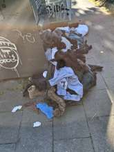 Bild zu gemeldetem Anliegen vom *2025-05-09 06:27:34