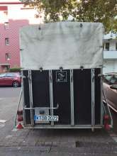 Bild zu gemeldetem Anliegen vom *2025-05-13 11:01:32