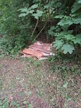 Bild zu gemeldetem Anliegen vom *2025-05-27 12:30:59