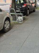 Bild zu gemeldetem Anliegen vom *2025-05-07 09:30:09