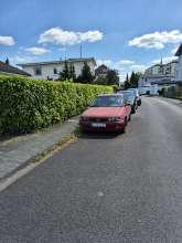 Bild zu gemeldetem Anliegen vom *2025-05-06 16:05:46