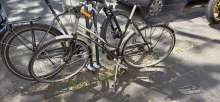 Bild zu gemeldetem Anliegen vom *2025-05-13 12:31:14