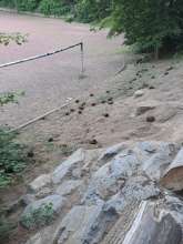 Bild zu gemeldetem Anliegen vom *2025-05-11 18:32:41