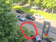 Bild zu gemeldetem Anliegen vom *2025-05-06 15:30:01