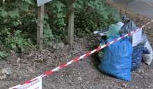 Bild zu gemeldetem Anliegen vom *2025-05-24 09:36:39