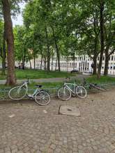 Bild zu gemeldetem Anliegen vom *2025-05-24 12:35:56