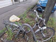 Bild zu gemeldetem Anliegen vom *2025-05-05 09:28:13