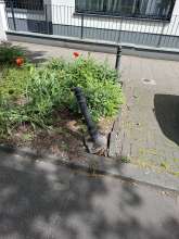 Bild zu gemeldetem Anliegen vom *2025-05-08 12:32:09