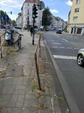Bild zu gemeldetem Anliegen vom *2025-05-08 15:01:38