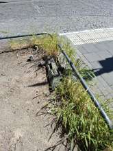 Bild zu gemeldetem Anliegen vom *2025-05-12 09:32:20