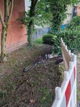 Bild zu gemeldetem Anliegen vom *2025-05-09 03:28:13