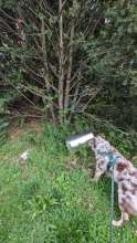 Bild zu gemeldetem Anliegen vom *2025-05-04 12:33:43