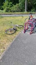 Bild zu gemeldetem Anliegen vom *2025-05-12 12:31:51