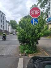 Bild zu gemeldetem Anliegen vom *2025-05-26 18:30:45