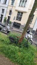 Bild zu gemeldetem Anliegen vom *2025-05-29 18:20:56