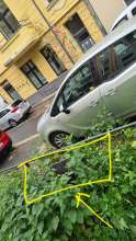 Bild zu gemeldetem Anliegen vom *2025-05-29 18:08:06