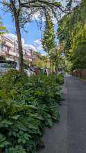 Bild zu gemeldetem Anliegen vom *2025-05-08 15:31:59