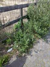 Bild zu gemeldetem Anliegen vom *2025-05-13 03:27:55