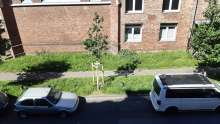 Bild zu gemeldetem Anliegen vom *2025-05-12 10:56:05