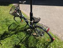 Bild zu gemeldetem Anliegen vom *2025-05-11 12:28:28