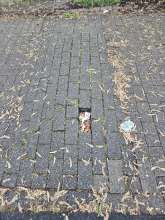 Fehlender Pflasterstein auf Bodenschwelle. Gefährlich für Roler und Sendereihe [Kinder] Fahrzeuge