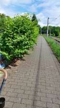 Bild zu gemeldetem Anliegen vom *2025-05-07 09:30:09