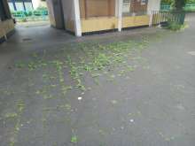 Bild zu gemeldetem Anliegen vom *2025-05-07 14:49:23
