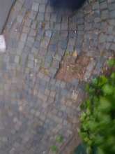 Bild zu gemeldetem Anliegen vom *2025-05-11 06:30:23