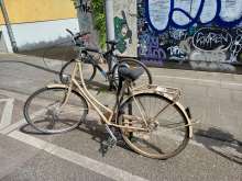 Bild zu gemeldetem Anliegen vom *2025-05-08 09:30:37