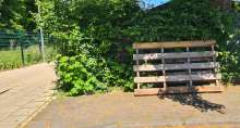 Bild zu gemeldetem Anliegen vom *2025-05-10 15:29:45
