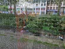 Bild zu gemeldetem Anliegen vom *2025-05-14 00:15:19