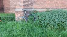 Bild zu gemeldetem Anliegen vom *2025-05-12 10:51:38