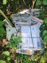 Bild zu gemeldetem Anliegen vom *2025-05-12 15:31:03