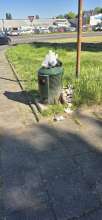 Bild zu gemeldetem Anliegen vom *2025-05-13 17:41:05