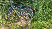Bild zu gemeldetem Anliegen vom *2025-05-30 12:29:58