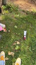 Bild zu gemeldetem Anliegen vom *2025-05-25 15:28:33