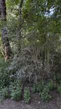 Bild zu gemeldetem Anliegen vom *2025-05-12 16:28:44