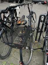 Bild zu gemeldetem Anliegen vom *2025-05-03 12:27:33