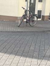 Bild zu gemeldetem Anliegen vom *2025-05-01 12:33:20