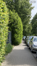 Bild zu gemeldetem Anliegen vom *2025-05-08 12:32:09