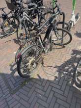 Bild zu gemeldetem Anliegen vom *2025-05-06 13:15:18