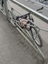 Bild zu gemeldetem Anliegen vom *2025-05-08 12:06:23